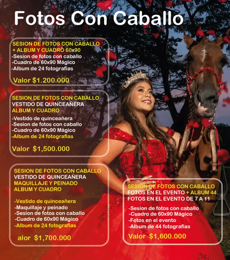 foto quince portafolio 2026 04